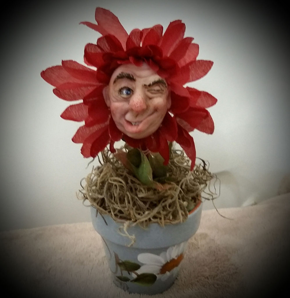 Winking Red Daisy in Pot – The Wicked Woods